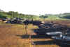 da-22.jpg (34157 Byte)